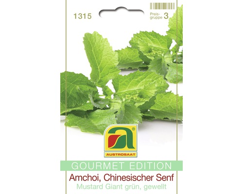 Samenpackung Amchoi, Chinesischer Senf, grüne Sorte