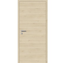 Innentür mit Drückergarnitur und Holzmuster
