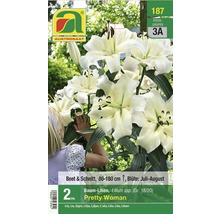 Austrosaat Lilien Pretty Woman Packung
