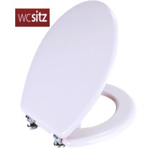 Toilettensitz