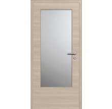 Innentür mit Glaseinsatz und Türklinke