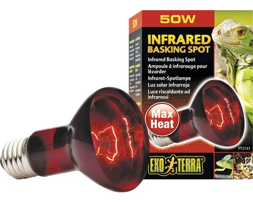 Exo Terra Infrarot-Wärmespotlampe, 50 Watt