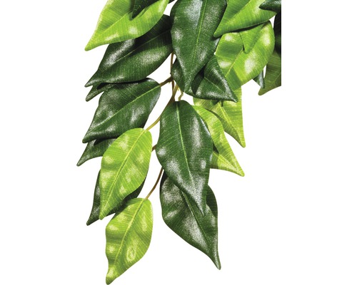 Kunstoffpflanze Exo Terra Fikus klein Kunstoffpflanze Exo Terra Fikus klein