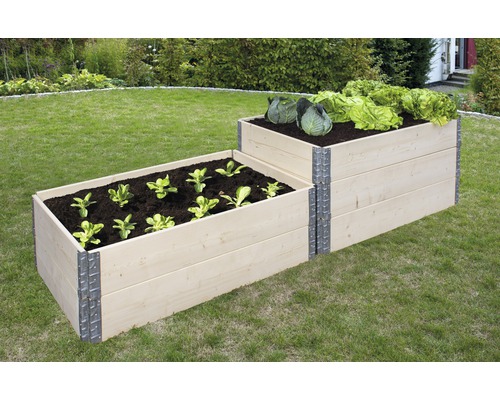 Doppelhochbeet aus Holz mit Salat und Kohl im Garten