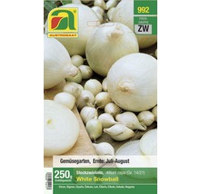 Austro Saat White Snowball Steckzwiebeln Packung 250 Gramm