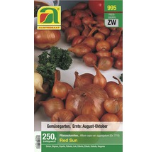 Austro Saat Red Sun Pflanzschalottenpackung 250 Gramm