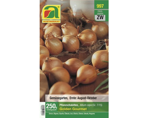 Steckzwiebel Pflanzschalotten 'Golden Gourmet' 250 g