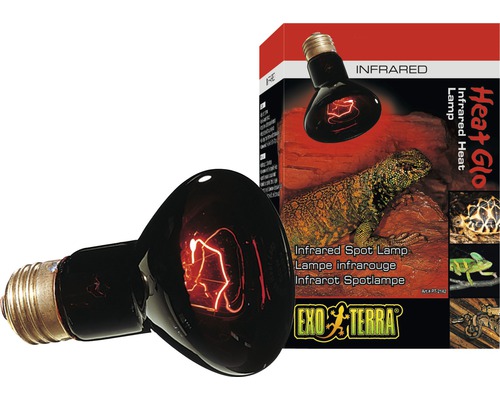 Terrarium-Infrarot-Spotlampe Exo-Terra Heat Glo 100 W