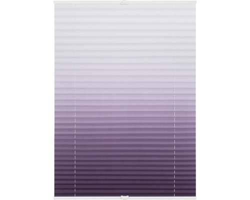 Plissee Rollo für Fenster