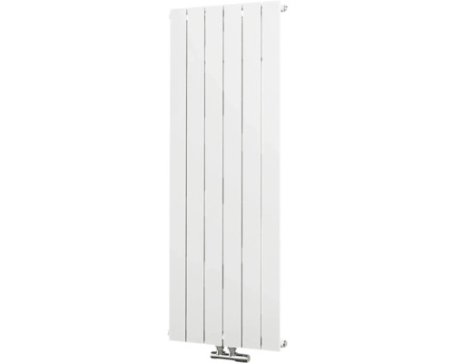 Vertikaler Heizkörper zur Wandmontage