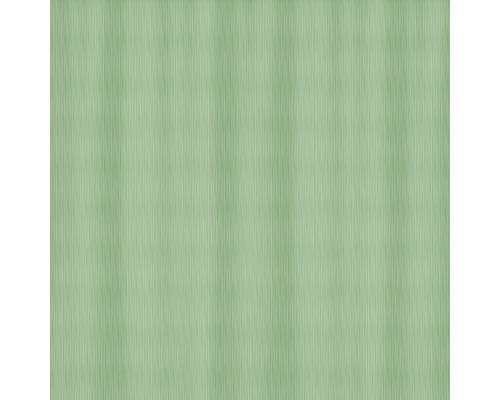 Duschvorhang Spirella Mera 180x200 cm grün