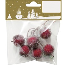 Dekorative rote Beeren mit Glimmer in Verpackung