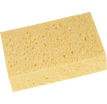 Gelber Schwamm