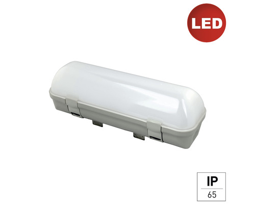 LED (Feuchtraum-)Ovalleuchte Midi weiß/grau 12 W 1300 lm IP 65 4000 K kaltweiß