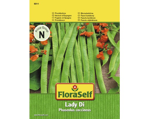 Prunkbohne 'Lady Di' FloraSelf samenfestes Saatgut Gemüsesamen