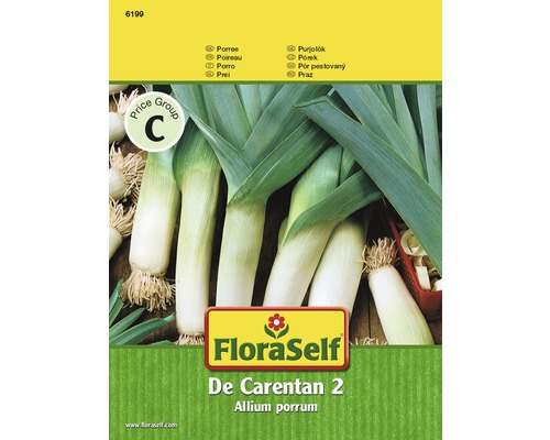 Porree 'De Carentan' FloraSelf samenfestes Saatgut Gemüsesamen