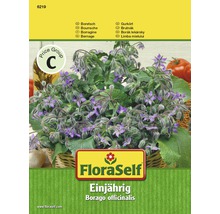 FloraSelf Einjährig Borago officinalis Samenpackung
