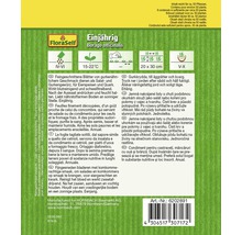 Einjährige Borago officinalis Samenpackung von FloraSelf