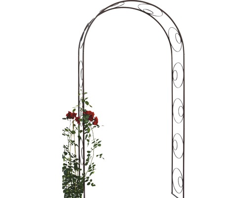 Metall-Rosenbogen mit Kreis-Design und Rosenpflanze Metall-Rosenbogen mit Kreis-Design und Rosenpflanze
