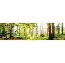 Küchenrückwand mySpotti splash Tree Crowns 2200x600x0,2 mm