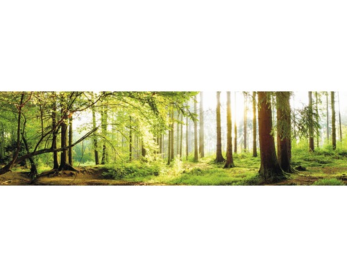 Küchenrückwand mySpotti splash Tree Crowns 2200x600x0,2 mm Waldszene mit Bäumen und Sonnenlicht