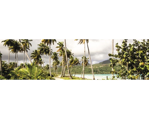 Küchenrückwand mySpotti splash Palm Beach 2200x600x0,2 mm Landschaft mit Palmen, Meer und bewaldeten Bergen