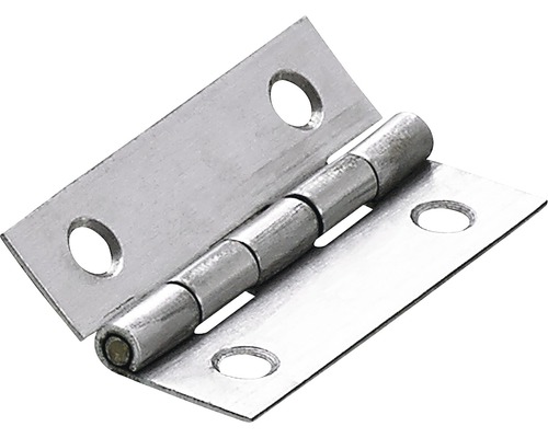Schmales Scharnier, 50x30 mm, Edelstahl matt, 10 Stück Metallscharnier mit Schraublöchern