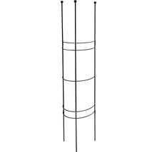 Halbrundspalier S 30x27x120 cm lavagrau