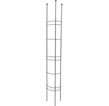 Pflanzenstütze aus Metall für den Garten