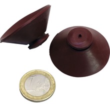 Mehrere braune Saugnäpfe und eine Ein-Euro-Münze zur Größenansicht