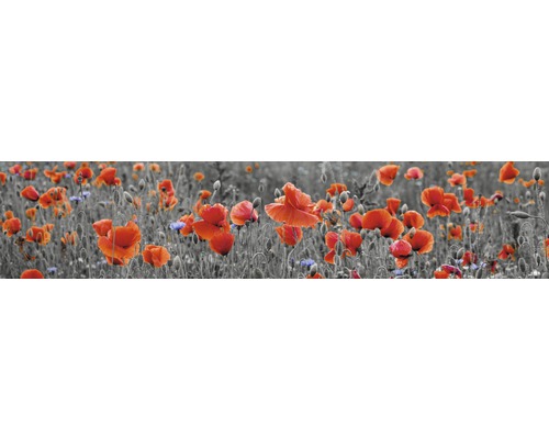 Küchenrückwand mySpotti splash Poppy 2800x600x0,2 mm Feld mit Mohnblumen