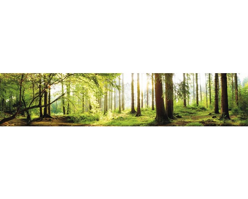 Küchenrückwand mySpotti splash Tree Crowns 2800x600x0,2 mm Waldlandschaft mit Bäumen und Sonnenlicht