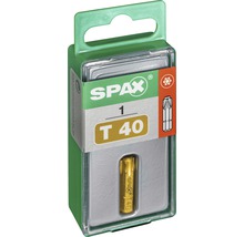 Spax Torx-Bit T40