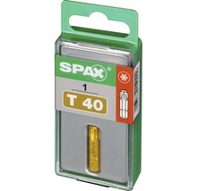 Spax Torx-Bit T40
