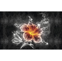 Fototapete Vlies 1107 VEXXL Blume Feuer 312 x 219m 3-tlg. 312 x 219 cm-thumb-0 Fototapete Vlies 1107 VEXXL Blume Feuer 312 x 219m 3-tlg. 312 x 219 cm-thumb-0