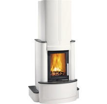 Kaminofen mit Brennholz hinter Glas