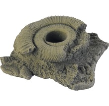 Ammoniten Ornament für Aquarien