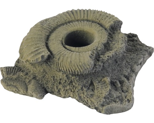 Dekoration VARIOGART Pflanzhilfe 11 Fossilien Dekoration VARIOGART Pflanzhilfe 11 Fossilien