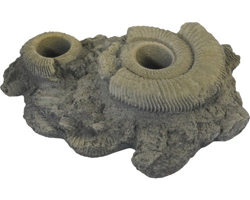Dekoration VARIOGART Pflanzhilfe 12 Fossilien Dekoration VARIOGART Pflanzhilfe 12 Fossilien