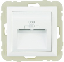 USB-Steckdoseneinsatz für die Wandmontage