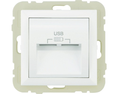 Steckdosen-Einsatz USB 2-fach Logus weiß