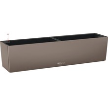 Rechteckiger Pflanzkasten mit Wasserstandsanzeige und Lechuza Logo