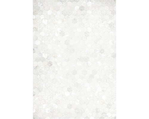 Lederteppich Exotic 310 silber 160x230 cm Lederteppich Exotic 310 silber 160x230 cm