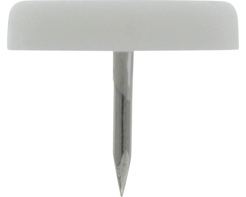 Reißnagel mit Kunststoffkopf