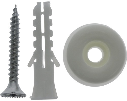 Schraube mit Dübel und Abdeckscheibe