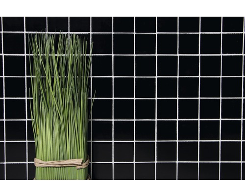 Bündel Gras vor schwarzem Fliesenhintergrund