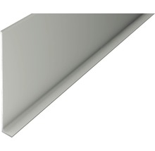 Winkelprofil