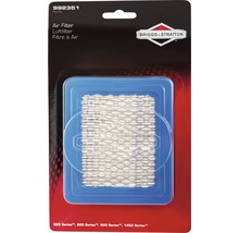 Briggs and Stratton Luftfilter im Paket