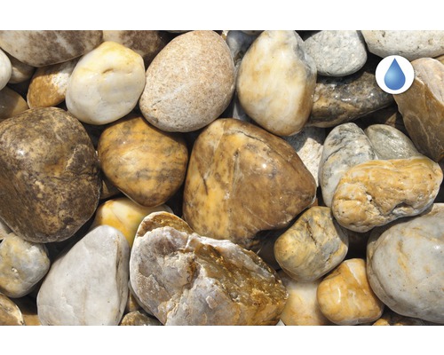 Nahaufnahme von Zierkieseln