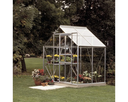 Gewächshaus Vitavia Venus 2500 Einscheibensicherheitsglas 3 mm 195x131 cm Aluminium Gewächshaus mit Pflanzen im Garten
